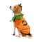 Best Furry Friends Jack-o'-Lantern Pumpkin Pet Costume